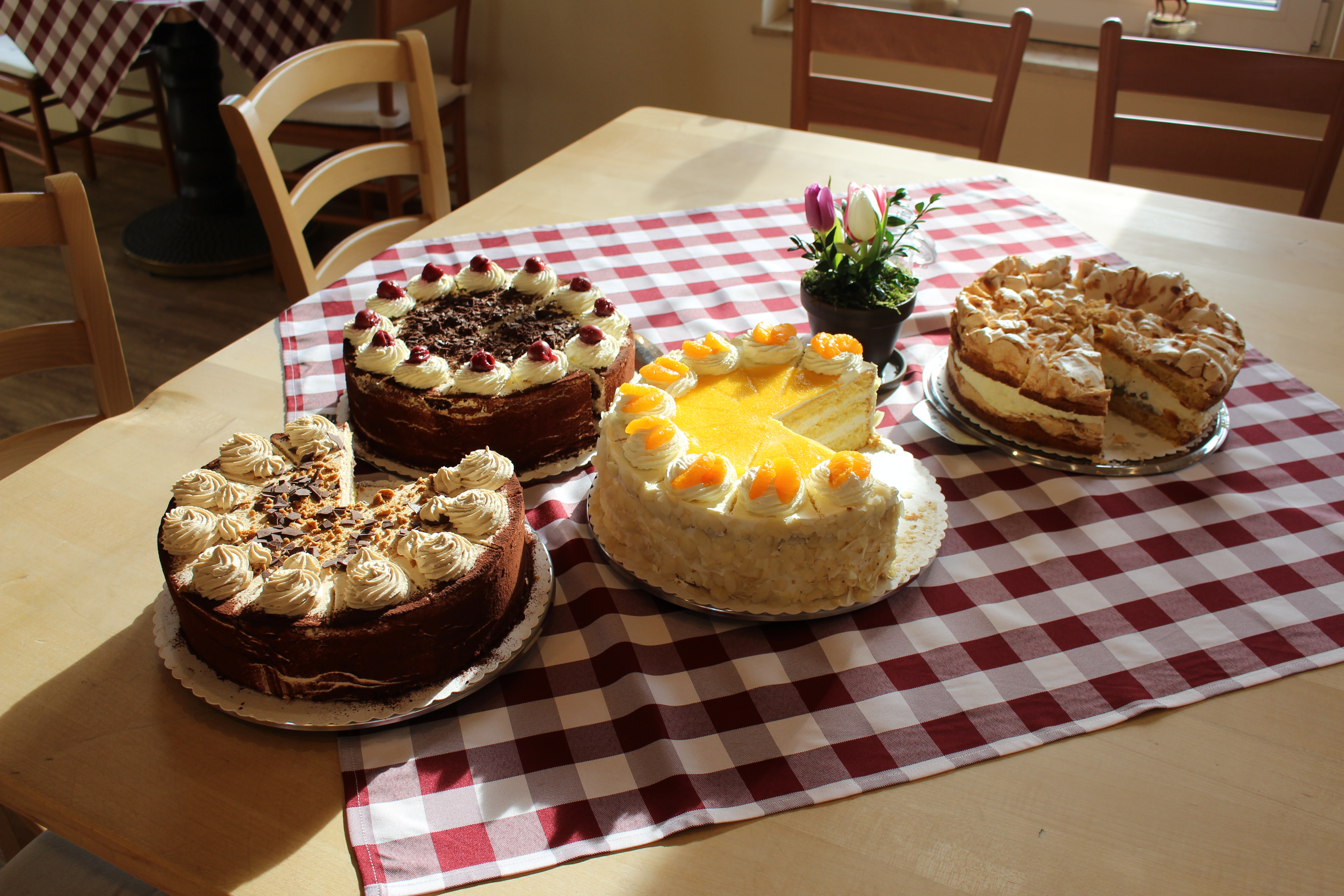 Leckere, selbst gebackene Kuchen im Cafe Em Höhnerstall